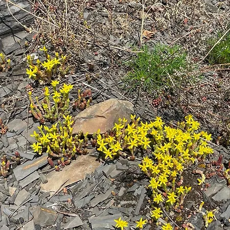 2 Bedroom Awesome In