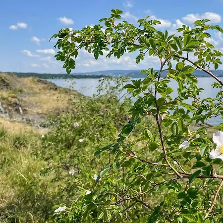 2 Bedroom Awesome In * Fornebu