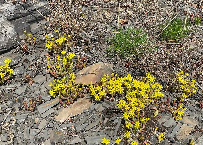 2 Bedroom Awesome In