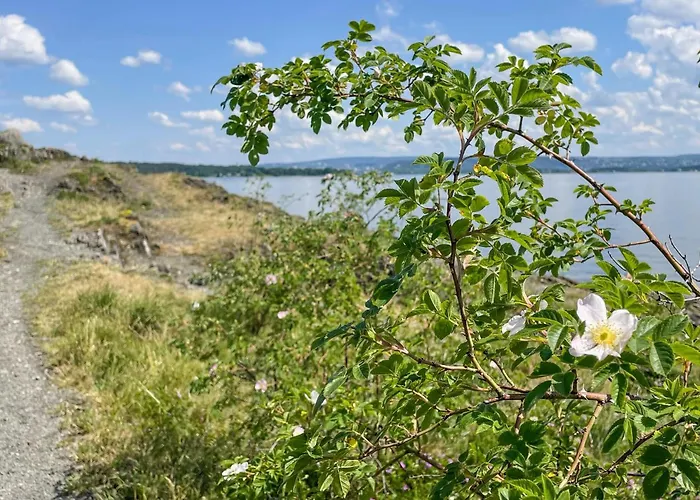 2 Bedroom Awesome In * Fornebu